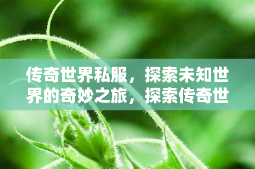 探索未知世界的奇妙之旅图片