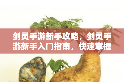 剑灵手游新手入门指南图片