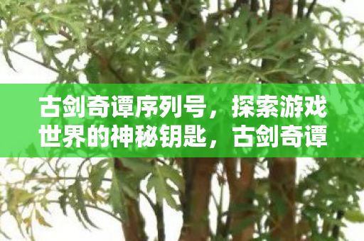 探索游戏世界的神秘钥匙图片