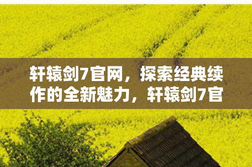 探索经典续作的全新魅力图片