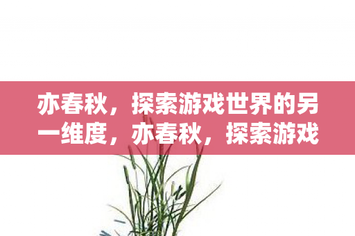 探索游戏世界的另一维度图片
