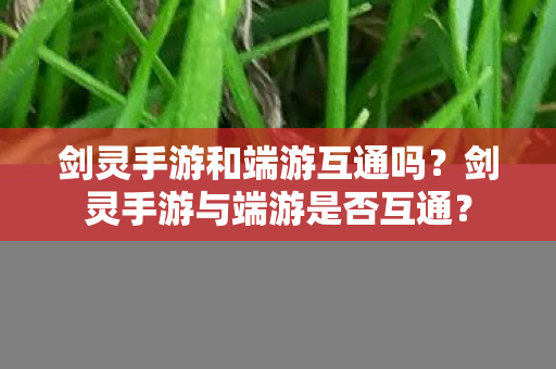 剑灵手游与端游是否互通图片