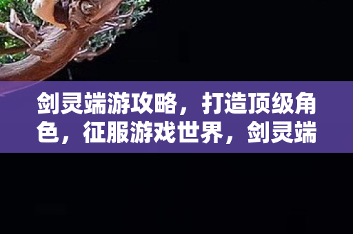 剑灵端游攻略图片