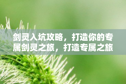 打造你的专属剑灵之旅图片