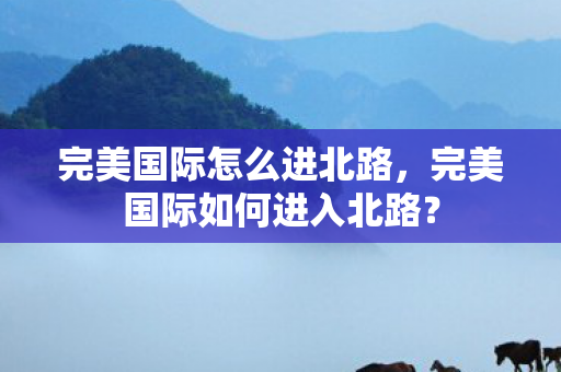 完美国际如何进入北路图片
