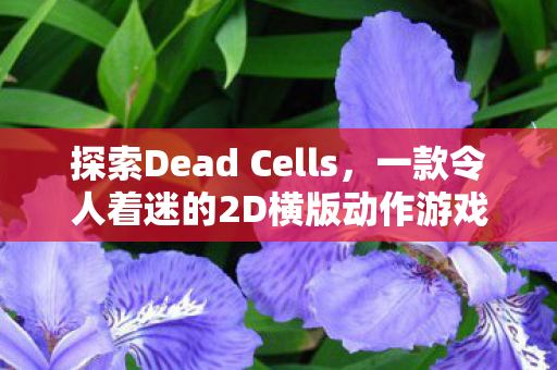 探索Dead Cells,一款令人着迷的2D横版动作游戏,探索Dead Cells,2D横版动作游戏的魅力 探索Dead Cells,一款令人着迷的2D横版动作游戏,探索Dead Cells,2D横版动作游戏的魅力