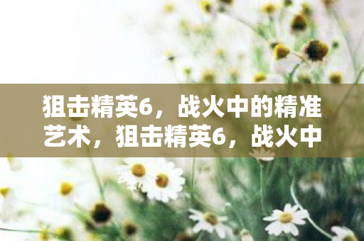 狙击精英6,战火中的精准艺术,狙击精英6,战火中的精准艺术 狙击精英6,战火中的精准艺术,狙击精英6,战火中的精准艺术