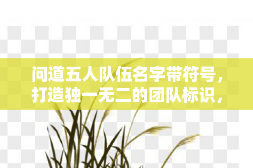 问道五人队伍名字带符号,打造独一无二的团队标识,打造独特五人队伍名字,让团队标识更有个性 问道五人队伍名字带符号,打造独一无二的团队标识,打造独特五人队伍名字,让团队标识更有个性