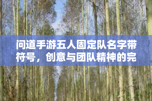 问道手游五人固定队名字带符号,创意与团队精神的完美结合,符号创意·五人行,问道手游固定队名字,展现团队精神的完美组合 问道手游五人固定队名字带符号,创意与团队精神的完美结合,符号创意·五人行,问道手游固定队名字,展现团队精神的完美组合