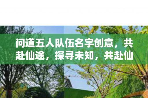 问道五人队伍名字创意,共赴仙途,探寻未知,共赴仙途,五人队伍名字创意,探寻未知之旅 问道五人队伍名字创意,共赴仙途,探寻未知,共赴仙途,五人队伍名字创意,探寻未知之旅