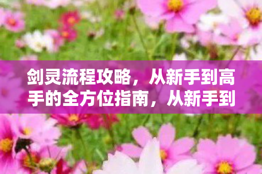 全方位指南助你掌握剑灵游戏流程图片