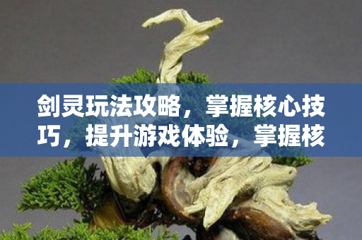 提升剑灵游戏体验图片