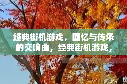 经典街机游戏,回忆与传承的交响曲,经典街机游戏,回忆与传承的交响曲 经典街机游戏,回忆与传承的交响曲,经典街机游戏,回忆与传承的交响曲