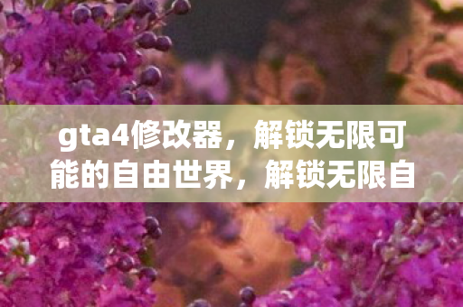 gta4修改器,解锁无限可能的自由世界,解锁无限自由,GTA4修改器打造你的梦想世界 gta4修改器,解锁无限可能的自由世界,解锁无限自由,GTA4修改器打造你的梦想世界
