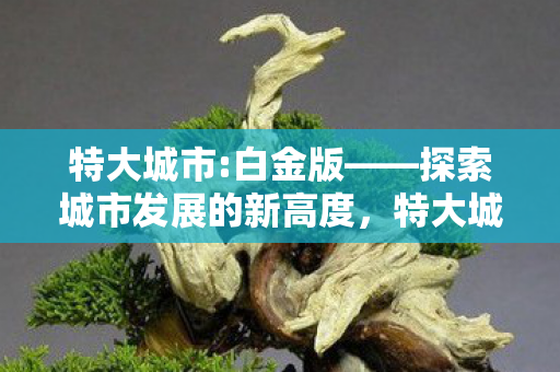 探索城市发展的新高度图片