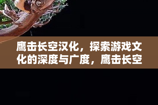探索游戏文化的深度与广度图片