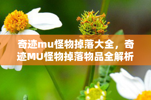 奇迹MU怪物掉落物品全解析图片