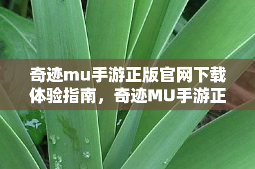 奇迹mu手游正版官网下载体验指南图片
