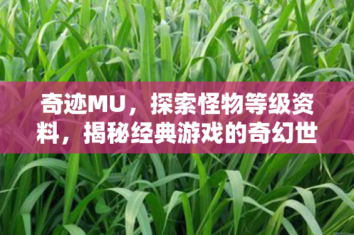 揭秘经典游戏的怪物等级资料图片
