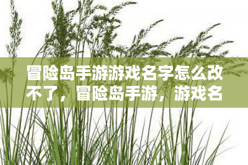 冒险岛手游游戏名字怎么改不了图片