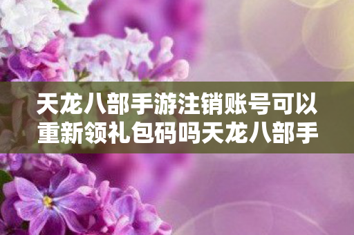 天龙八部手游注销账号可以重新领礼包码吗天龙八部手游图片