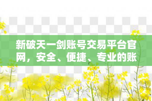 新破天一剑账号交易平台官网，安全、便捷、专业的账号交易新选择，新破天一剑账号交易平台，安全、便捷、专业的账号交易新选择
