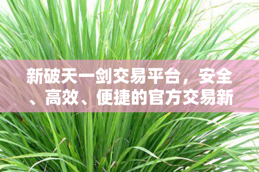 新破天一剑交易平台，安全、高效、便捷的官方交易新选择，新破天一剑官方交易平台，安全、高效、便捷的交易新选择