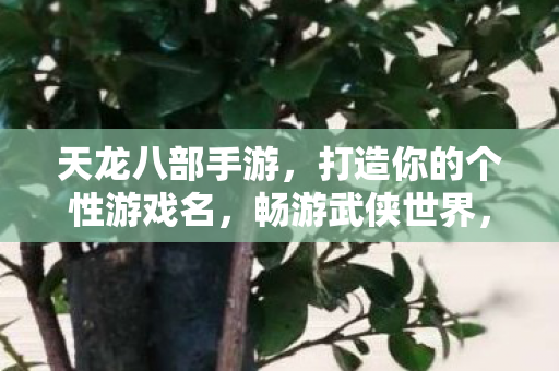 天龙八部手游打造个性游戏名图片