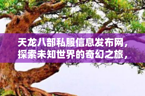 天龙八部私服探索奇幻世界之旅图片