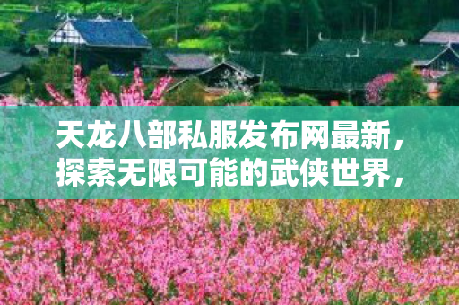 天龙八部私服发布网最新图片