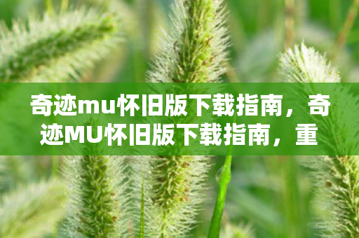奇迹mu怀旧版下载指南图片