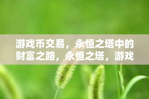 永恒之塔中的财富之路图片