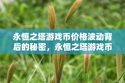 永恒之塔游戏币价格波动背后的秘密图片