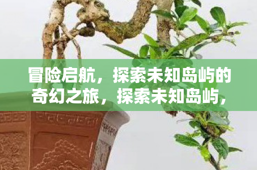 探索未知岛屿的奇幻之旅图片