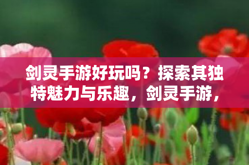 探索其独特魅力与乐趣图片