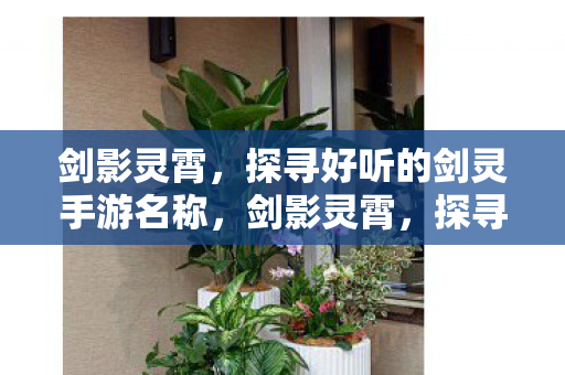 探寻绝美剑灵的梦幻手游之旅图片