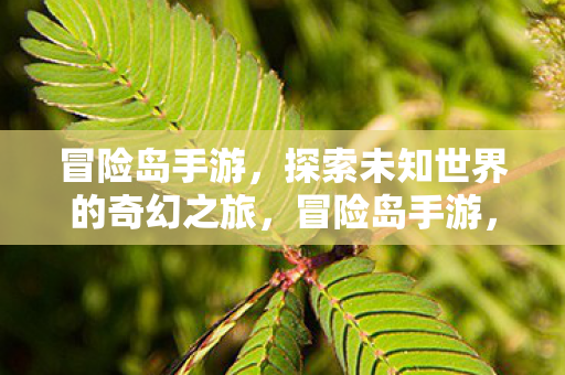探索未知世界的奇幻之旅图片