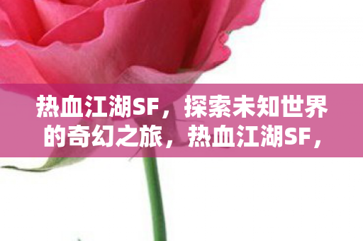 热血江湖SF，探索未知世界的奇幻之旅，热血江湖SF，奇幻之旅探索未知世界
