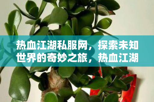 热血江湖私服网，探索未知世界的奇妙之旅，热血江湖私服网，开启探索未知世界的奇妙之旅
