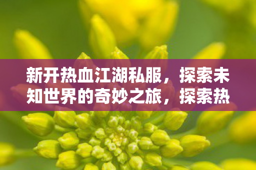 新开热血江湖私服，探索未知世界的奇妙之旅，探索热血江湖私服，开启未知世界的奇妙冒险之旅