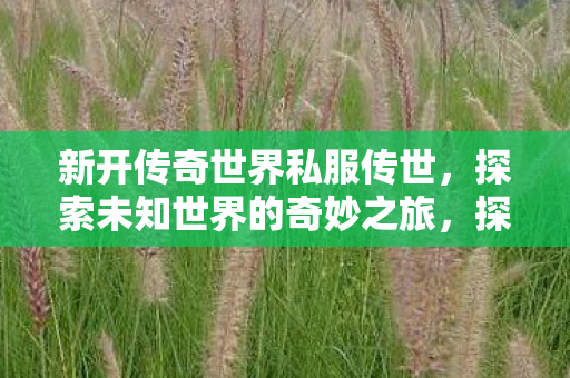 探索未知世界的奇妙之旅图片
