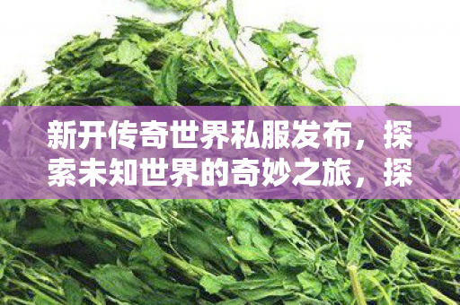 探索未知世界的奇妙之旅图片