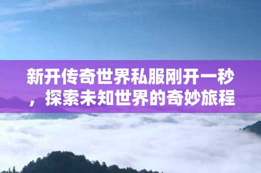新开传奇世界私服刚开一秒图片