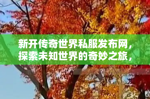新开传奇世界私服发布网图片