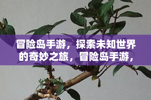 探索未知世界的奇妙之旅图片