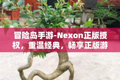 Nexon正版授权冒险岛手游图片