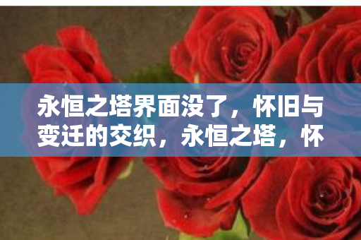永恒之塔界面没了图片