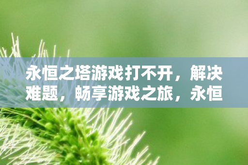 永恒之塔游戏打不开怎么办图片