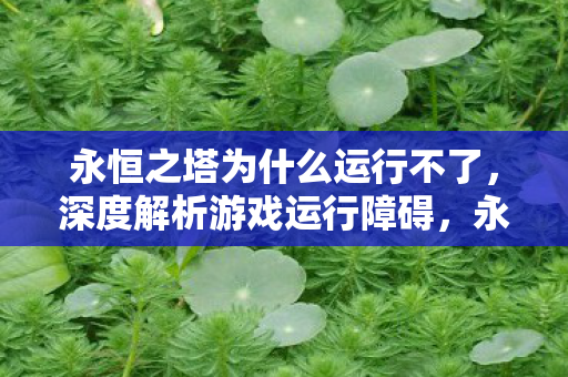永恒之塔游戏运行障碍深度解析图片