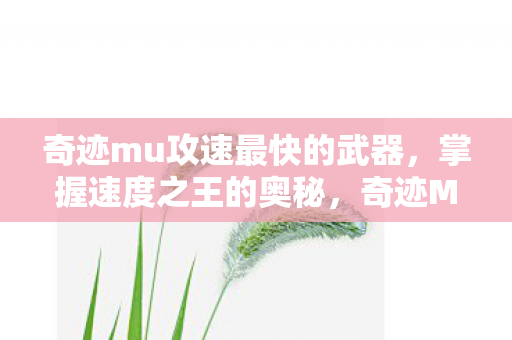 奇迹mu攻速最快的武器图片